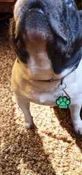 NFC Scannable Dog or Cat Tag